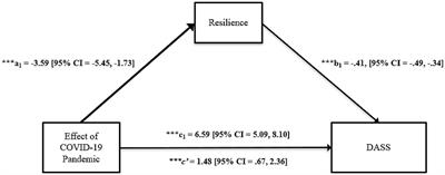 Resilience mediates the effect of the COVID-19 pandemic on mental health in a sample of adults in Panama